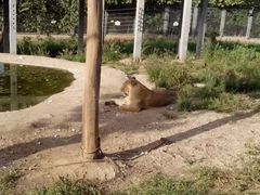 -西安秦岭野生动物园