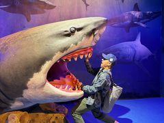 -哈尔滨波塞冬海底世界
