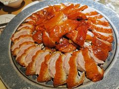 -守柴炉烤鸭(科华中路王府井店)