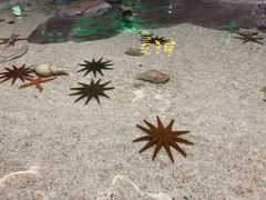 -福州罗源湾海洋世界旅游区