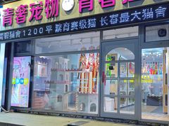 -青奢宠物·青奢猫舍