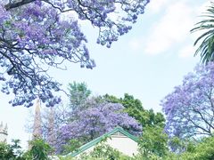 -斐兹洛伊花园