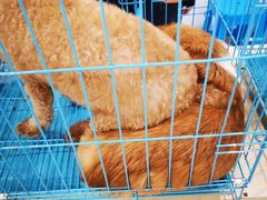 -万达广场(扬州邗江店)