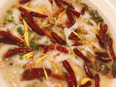 招牌老坛酸菜鱼-江渔儿酸菜鱼·拔草餐厅(虎门君乐汇店)