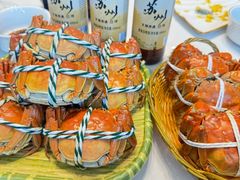 -蟹天蟹地农家菜·阳澄湖大闸蟹(浅水湾店)