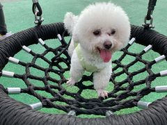 -枫香湖儿童公园