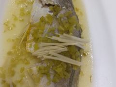 -宝燕壹号(徐汇店)
