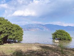 -大理洱海