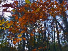 -洛阳白云山景区