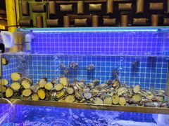 -鲁商铂尔曼大酒店·铂丽自助餐厅
