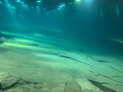 -白鹤梁水下博物馆