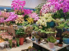 -双季花艺园艺市场(浦东店)