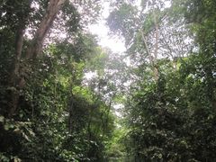 -武吉知马自然保护区