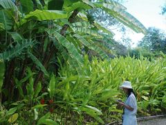 -大象粑粑造纸公园
