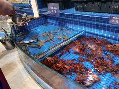 -乔哥铭洋海鲜自助(皇城恒隆广场店)