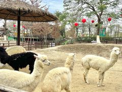 -盈香心动乐园