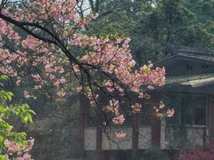 -南溪山景区