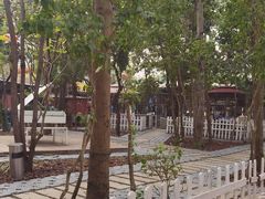 -陶缘一号·四季缘·老字号顺德菜·户外婚礼家宴(西滘店)