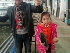 -万源龙顺度假庄园生态观光园