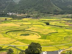 -万峰林风景区