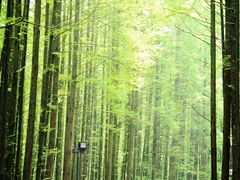 -山王坪喀斯特国家生态公园