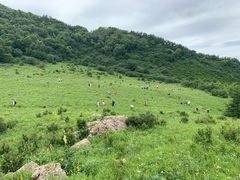 -白草畔自然风景区