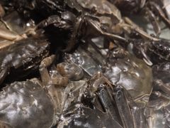 -一号桥自助火锅城(揽秀园西街店)