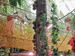 -正佳雨林生态植物园