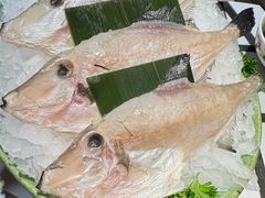 -朱光玉火锅馆(全国总店·金冠好店)