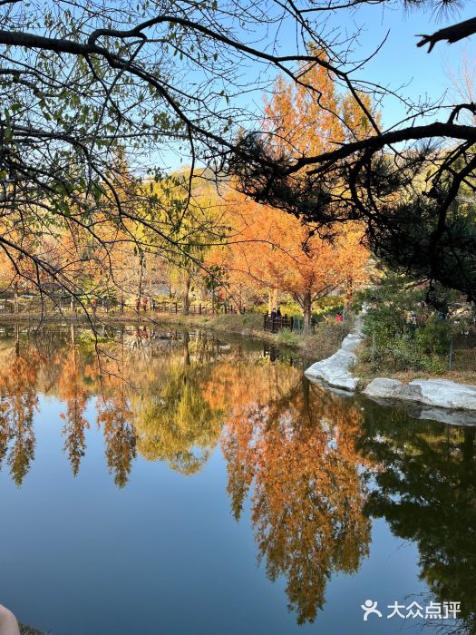 国家植物园南园图片