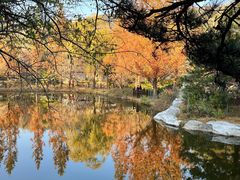 -国家植物园南园