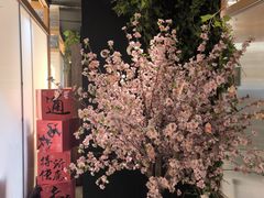 -姑苏二十四集(iD PARK 歌林公园店)