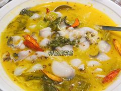 -四姐妹东北饺子(沙尾路店)