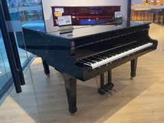 -柏斯音乐艺术中心·钢琴·吉他(世纪金源店)