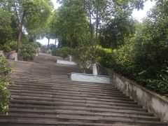 -铁山坪森林公园