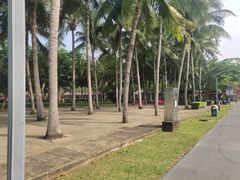 -万绿园