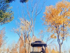 -嬉乐湾休闲旅游区