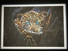 -罗红摄影艺术馆