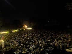 -元鼎宝驴香·全驴宴(江宁店)
