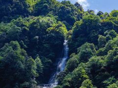 -瓦屋山景区