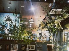 -咖法森林·咖啡  酒吧(天河店)