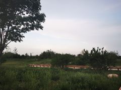 -汉长安城未央宫国家考古遗址公园