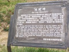 -曹州牡丹园