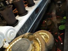 -红鼎坊·老成都火锅(新南门店)
