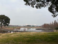-贡湖湾湿地公园