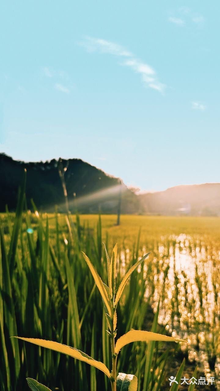 芳草碧连天 问君此去几时来 来时莫徘徊