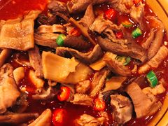 -曾牛肉