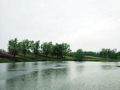 -梁鸿国家湿地公园