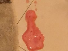 -灵美宠物诊所