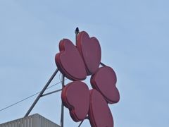 -張飛扒肉•四代传承(道外店)